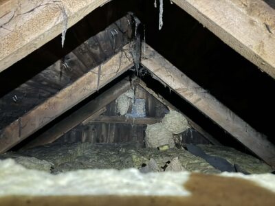 En vind med svart mögel på bjälkarna