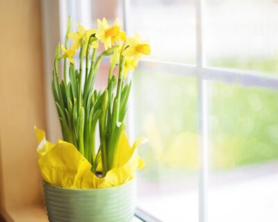 Förbereda fritidshuset inför sommar
